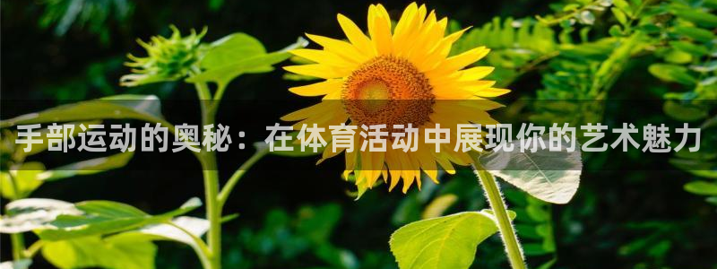 快手极速体育：手部运动的奥秘：在体育活动中展现你的艺术魅力