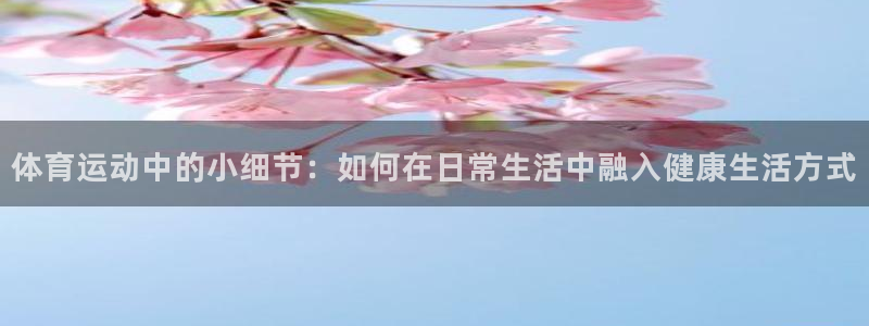 极速体育培训学校有限公司：体育运动中的小细节：如何在日常生活中融入健康生活方式