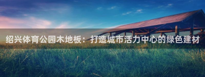 极速体育nba免费观看直播：绍兴体育公园木地板：打造城市活力中心的绿色建材