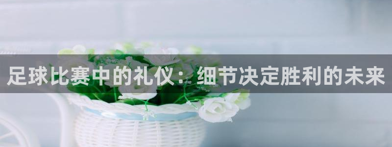 极速体育App：足球比赛中的礼仪：细节决定胜利的未来