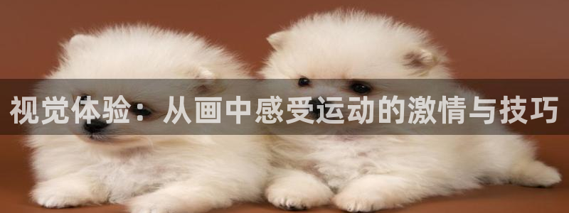 极速体育aba：视觉体验：从画中感受运动的激情与技巧